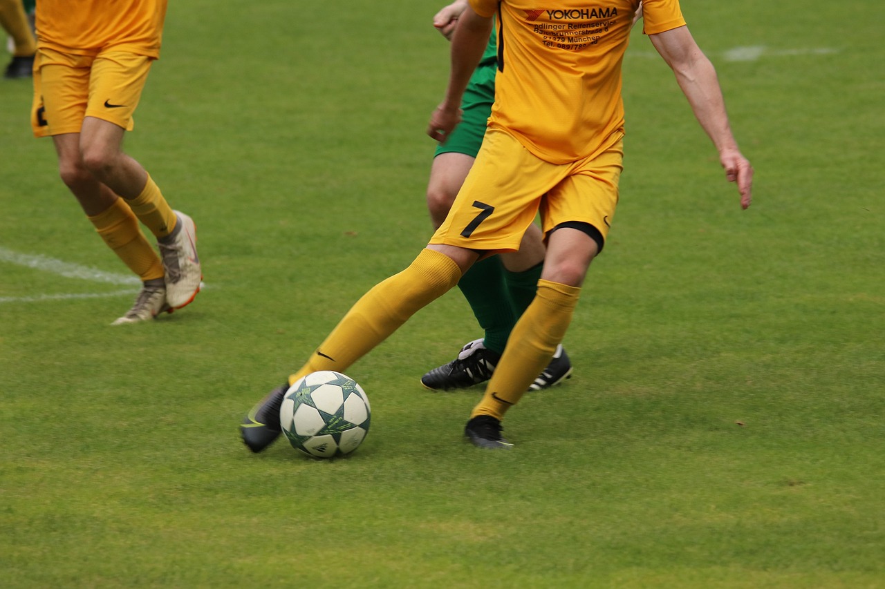 展现出他们 展现出他们