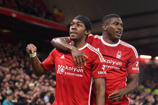 稳定的归化 稳定的归化